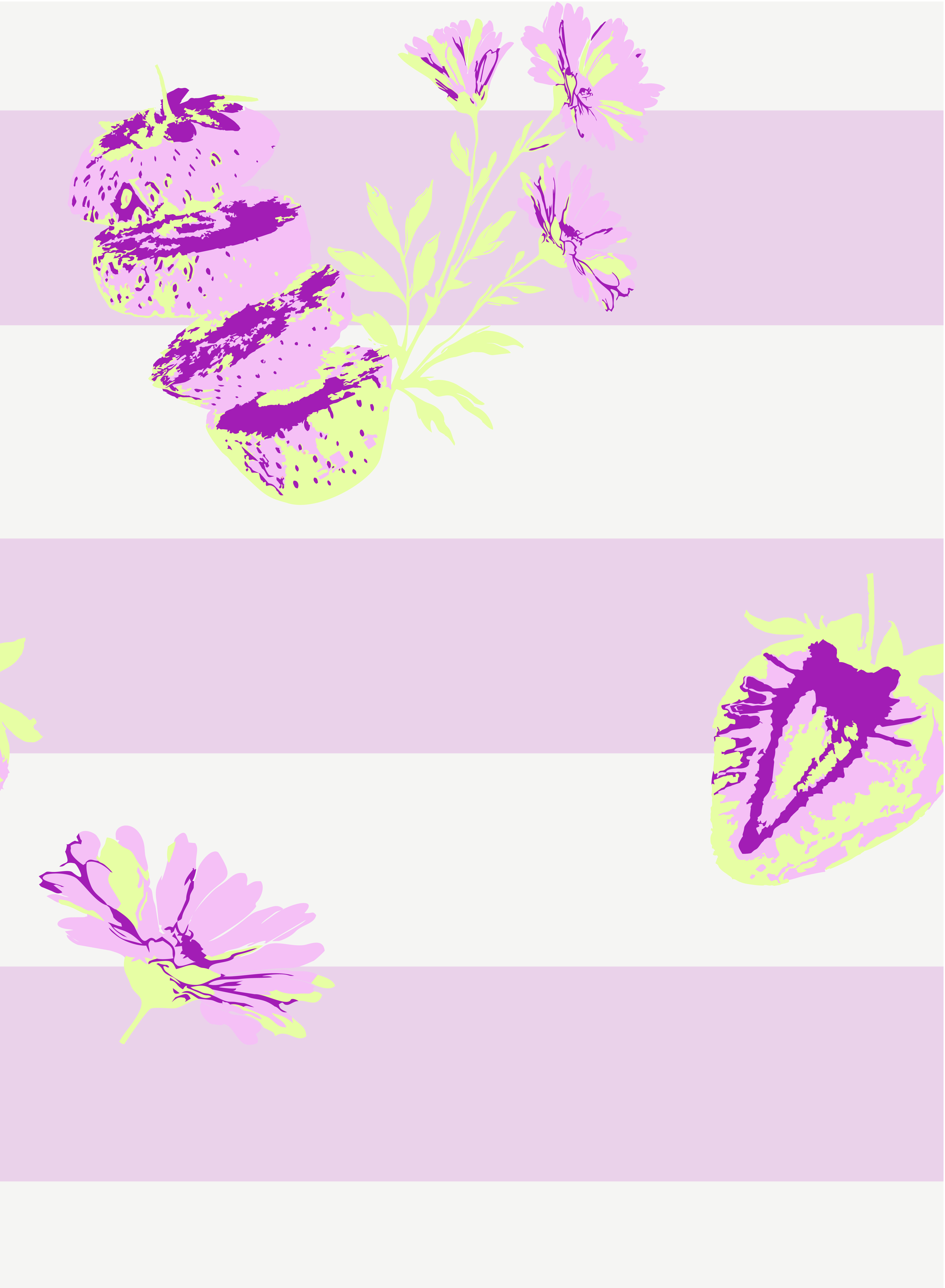 Set Amapola